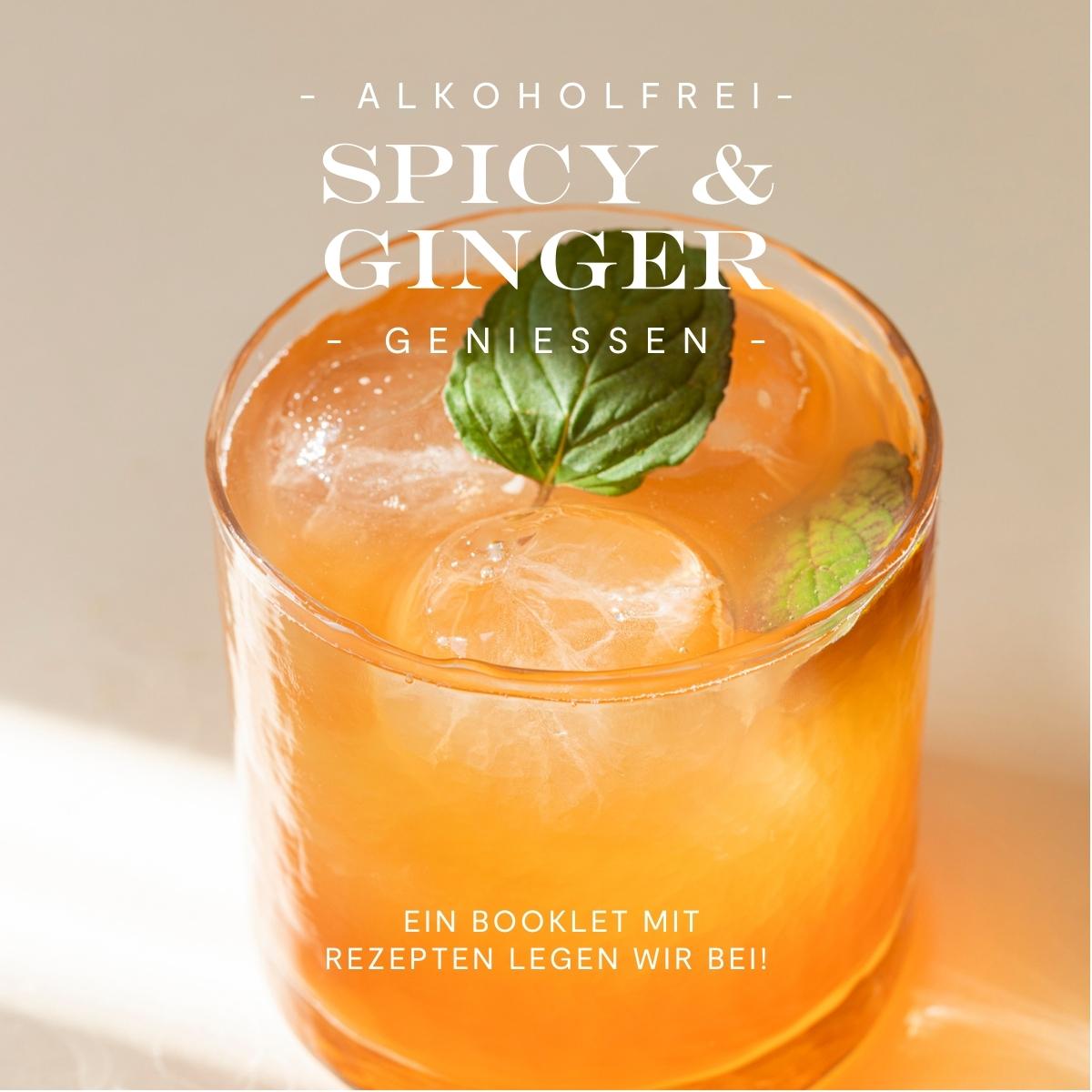 Mini tasting set: Laori Spice Mini (0.05l) + Ginger Beer - Not for sale